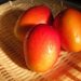 沖縄でマンゴーが激安で買える場所